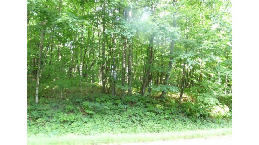 Lot 2 Little Stone Road Stone Lake, WI 54876 by Edina Realty, Inc. - Spooner $13,900