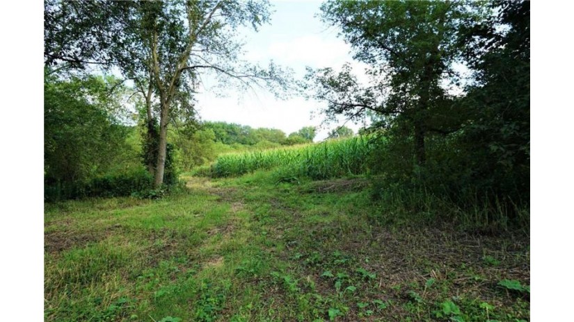 49.08 Acres Highway 10 Plum City, WI 54761 by Re/Max Results-Hudson $137,500