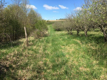 119.5 AC. M/L Cortland Ln, Sylvan, WI 53581