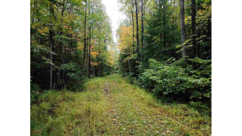 Mc Cloud Road Antigo, WI 54409 by North Central Real Estate Brokerage, Llc $78,000