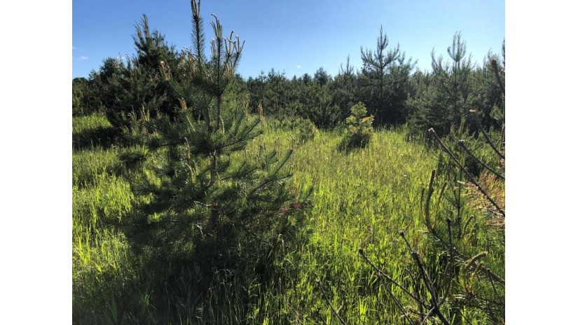 LOT 2 Hill Rd Sister Bay, WI 54234 by Professional Realty Of Door County $39,900