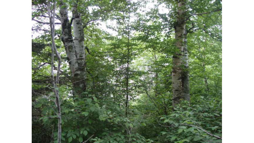 Lot 7 Heath Rd Winter, WI 54896 by Birchland Realty, Inc - Park Falls $24,900