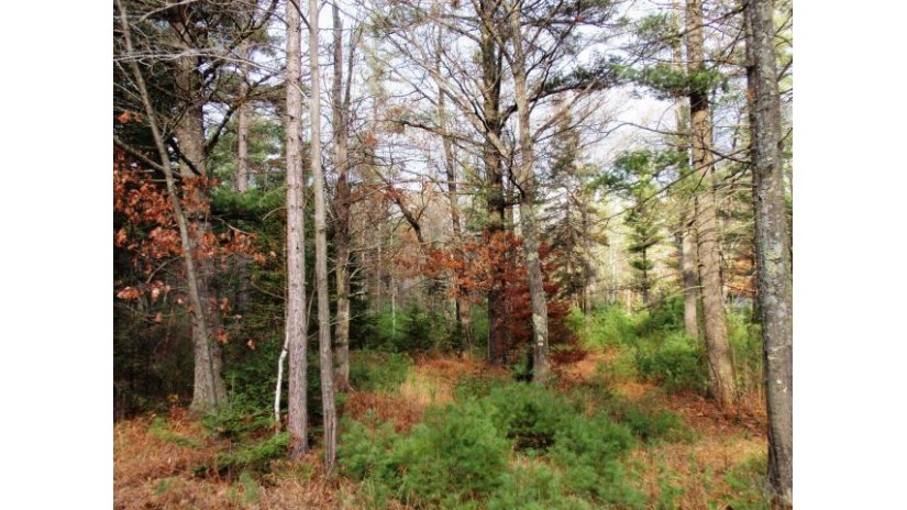 Lot #4 Hwy 45 Eagle River, WI 54521 by Shorewest Realtors $28,900