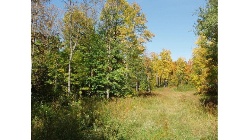 40 Acres Masterson Fire Ln Glidden, WI 54527 by Birchland Realty, Inc - Park Falls $40,000