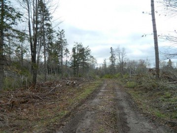 On Western Breeze Rd Lot 53, Ojibwa, WI 54862