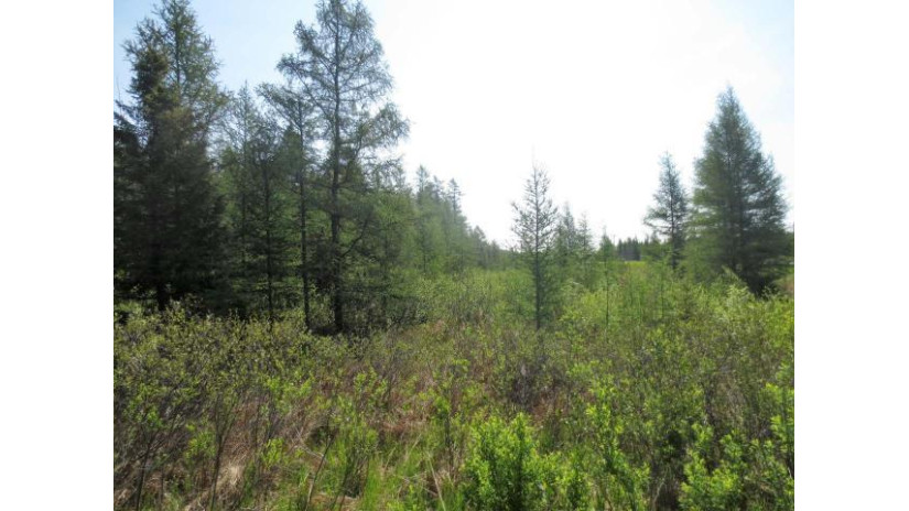 On Mcnaughton Rd Rhinelander, WI 54543 by Redman Realty Group, Llc $14,000