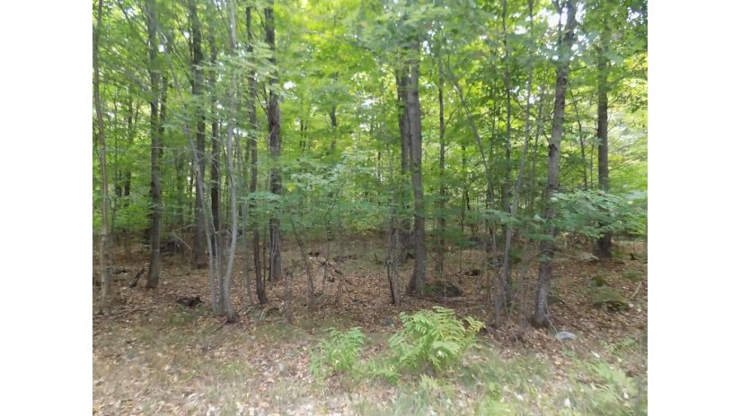 6754 Buck Run Trl Freedom, WI 54566 by RE/MAX North Winds Realty, LLC $74,000