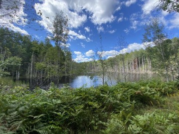 N13500 Harper Rd, Silver Cliff, WI 54104