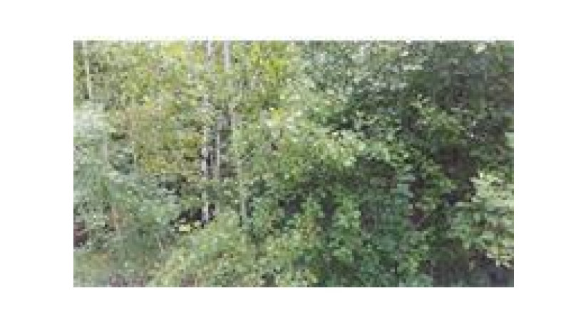 Lot 2 Pumphouse Road Chippewa Falls, WI 54729 by Woods & Water Realty Inc, Chippewa Falls $29,750