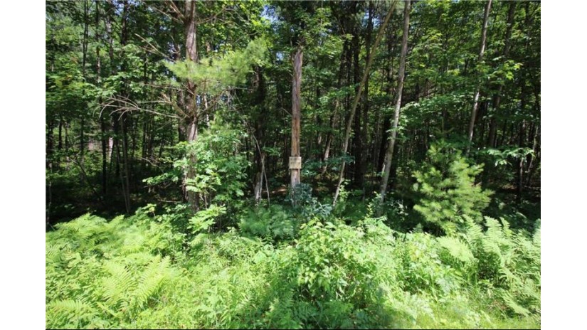 LOT 4 Rockie Rd Road Fall Creek, WI 54742 by Cb Brenizer/Eau Claire $44,900