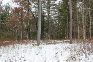 Lot #7 Halls Creek Ct Court, Merrillan, WI 54754