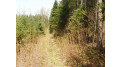 Near Thole Rd Road Mellen, WI 54546 by Birchland Realty Inc./Park Falls $59,900