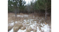 80 ACRES Hwy M River Falls, WI 54022 by Woods & Water Real Estate Llc, Ellsworth $349,900