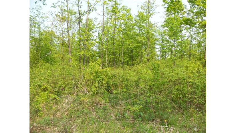 44 ACRES Hwy 53 Minong, WI 54859 by Woods & Water Real Estate Llc, Ellsworth $59,900