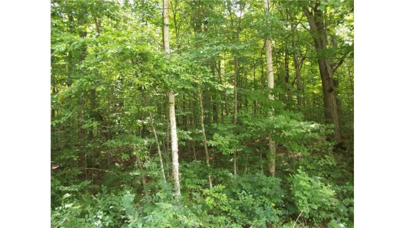 Lot 64 Maple Way Birchwood, WI 54817 by Dane Arthur Real Estate Agency/Birchwood $10,500