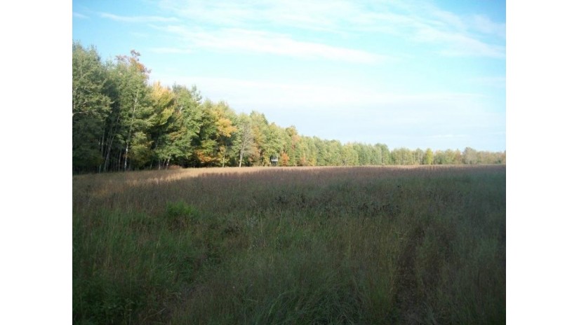 80 AC County Road B True, WI 54526 by National Land Realty Llc $90,000