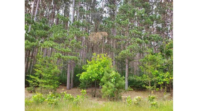 LOT 86 S Gale Ct Dell Prairie, WI 53965 by Barbara Drolson Real Estate $12,000