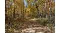 80 ACRES County Road G Woodland, WI 53941 by Re/Max Preferred $290,000