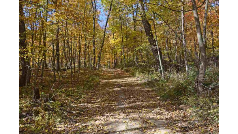 80 ACRES County Road G Woodland, WI 53941 by Re/Max Preferred $290,000