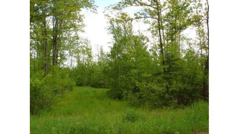 40 Acres Hagar City Road Merrill, WI 54452 by Coldwell Banker Action $79,900