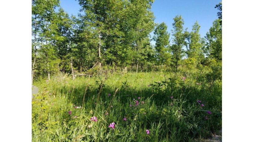 LOT 1* Settlement Woods Tr Sister Bay, WI 54234 by Professional Realty Of Door County $45,000