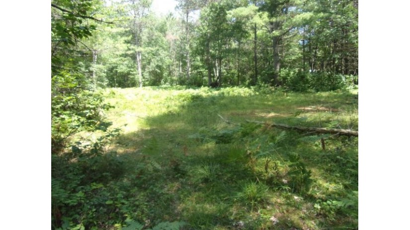 24-67 Whitetail Acres Rd St Germain, WI 54558 by Eliason Realty - St Germain $34,900