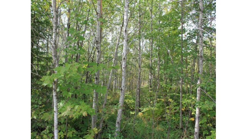 Off Hwy 51 Lot 19 Mercer, WI 54547 by Century 21 Pierce Realty - Mercer $55,000