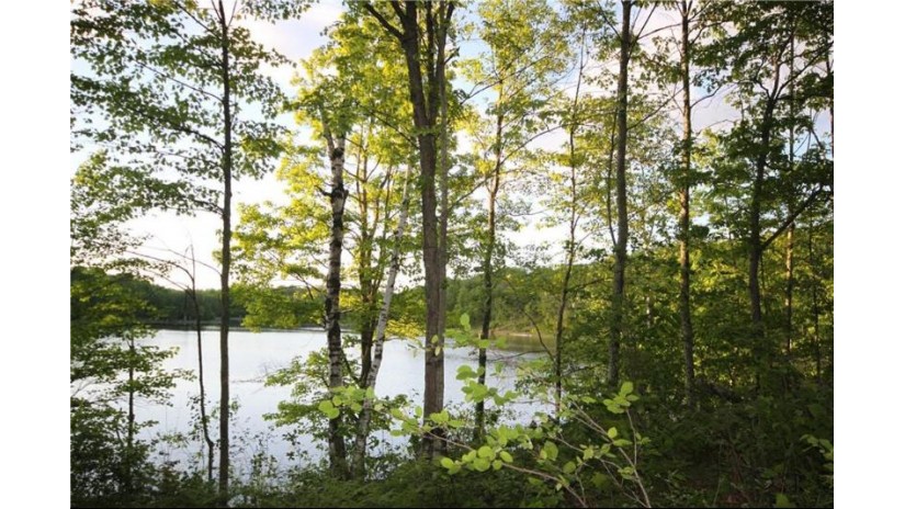 Lot 9 Timber Wolf Drive Springbrook, WI 54875 by Woodland Developments & Realty $36,900