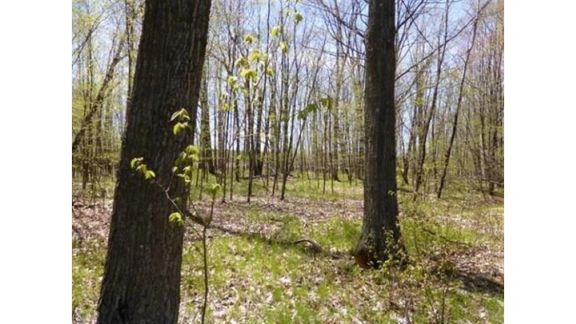 Lot 2 Mount Vista Road Mosinee, WI 54455 by First Weber $38,900