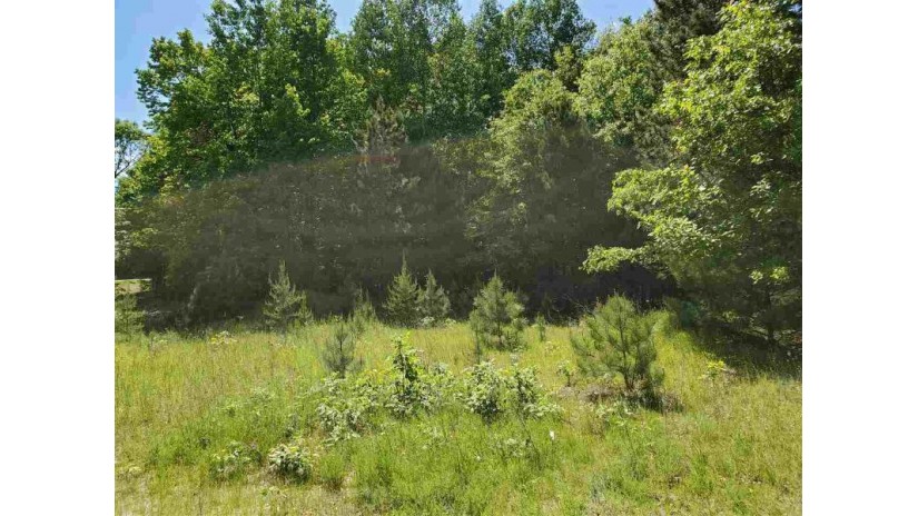 Lot 15 Hidden Ponds Drive 00 Riverstone Way Lo Mosinee, WI 54455 by First Weber $45,000