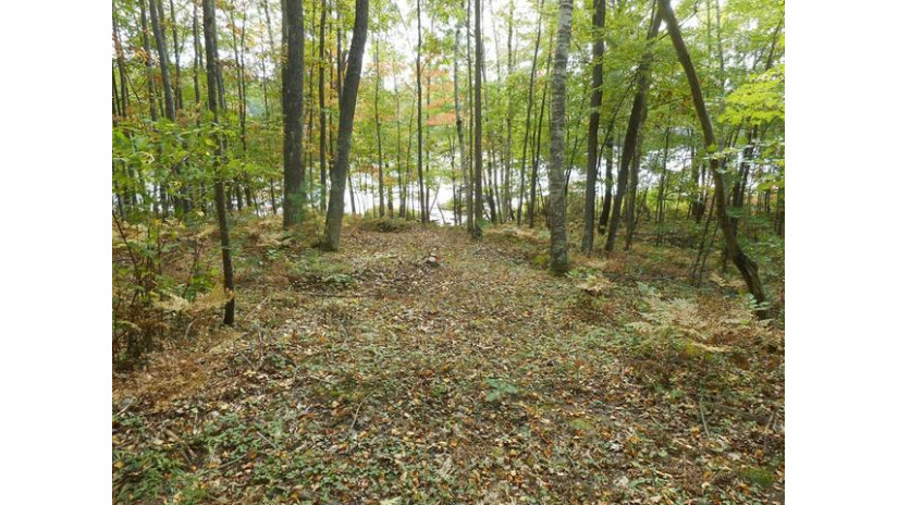 On Green Bass Cr Lot 11 Eagle River, WI 54521 by Century 21 Burkett & Assoc. $64,400