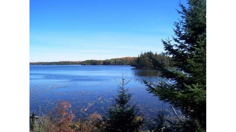 Lot 5 Cisco Lake Rd E Watersmeet, MI 49969 by Eliason Realty - Land O Lakes $59,900