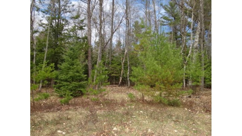 On Red Pine Ln Land O Lakes, WI 54540 by Century 21 Burkett & Assoc. $10,500