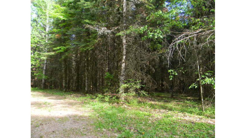 Lot 15 Pelican Hills Tr W PELICAN LAKE, WI 54463 by Lake Country Realty $24,900