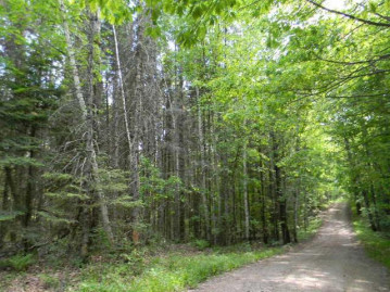 Lot 16 Pelican Hills Tr E, Enterprise, WI 54463