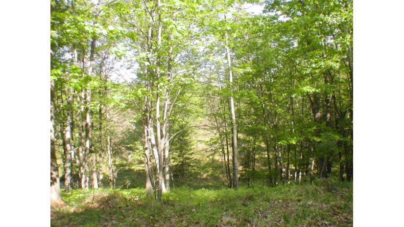 On Grand View Dr Sugar Camp, WI 54501 by Eliason Realty - St Germain $99,900