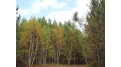 ON Wilderness Road Trego, WI 54888 by Steigerwaldt Land Sales, Llc/Hayward $180,000