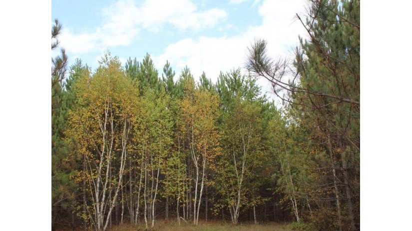 ON Wilderness Road Trego, WI 54888 by Steigerwaldt Land Sales, Llc/Hayward $180,000