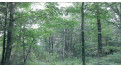 Lot 0 Birchwood Fire Lane Lane Spooner, WI 54876 by C21 Woods To Water $70,000