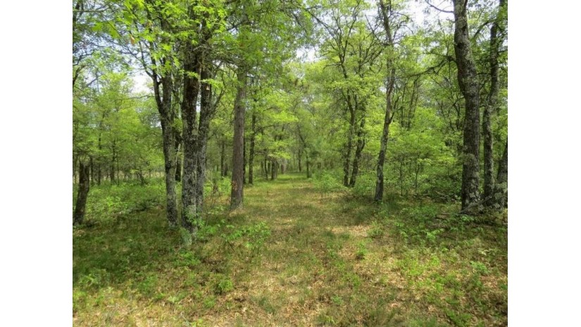 Lot 10 Cornwall Drive Minong, WI 54859 by C21 Sand County Services Inc $19,900