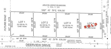 Deerview Drive, Reedsville, WI 54230