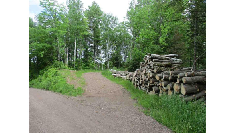 +/-9 Acres Upjohn Road Rib Lake, WI 54470 by Dixon Greiner Realty, Llc $39,900