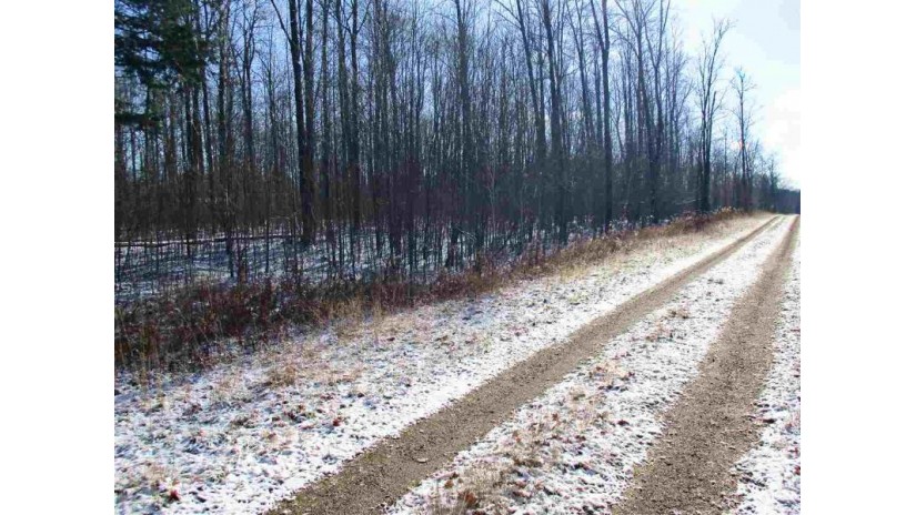 Parcel 7 Forest Edge Road Westboro, WI 54490 by Dixon Greiner Realty, Llc $18,500