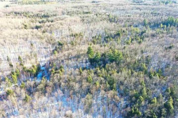 +/-57 Acres Levine Road, Ogema, WI 54459