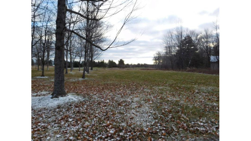 Lot 45 Chip Shot Ln Pickerel, WI 54465 by Absolute Realtors Inc. $13,500