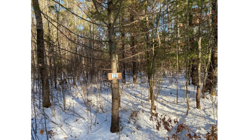 Lot 12 Lyannas Rd Yes, WI 54539 by Northwoods Community Realty, Llc $52,000