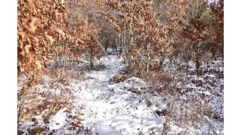 6.06 Acres Clearview Drive Black River Falls, WI 54615 by Clearview Realty Llc $29,500