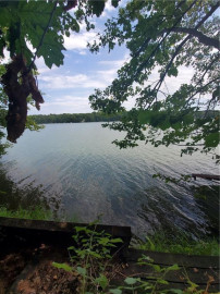 xxx Lot 5 Reidner Lane, Centuria, WI 54824