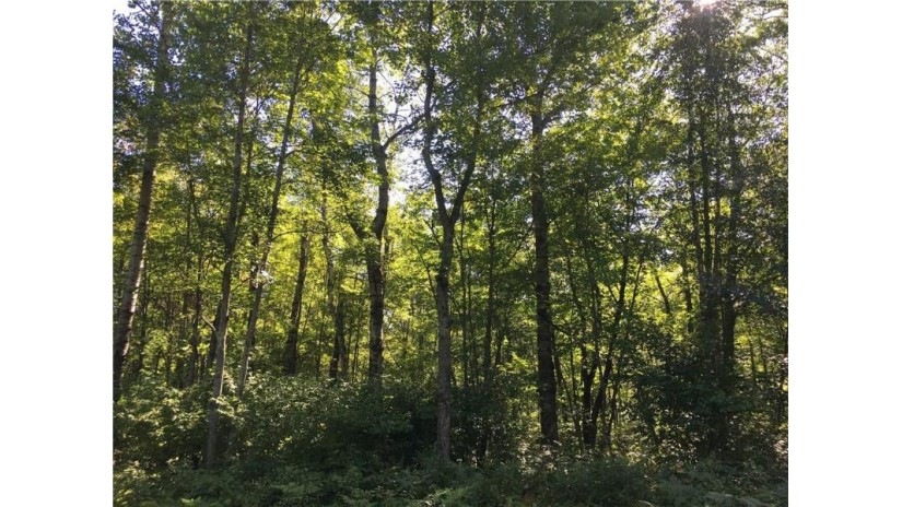 Lot 21 East Ruth Lake Road Iron River, WI 54847 by Coldwell Banker Realty Iron River $14,900