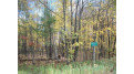 Lot #52 Moccasin Way Birchwood, WI 54817 by Dane Arthur Real Estate Agency/Birchwood $9,500